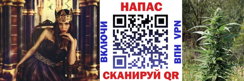 блэк спрут как зайти  закладка  Муравленко  Бошки марихуана SATIVA & INDICA 